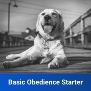 basic obedience starter