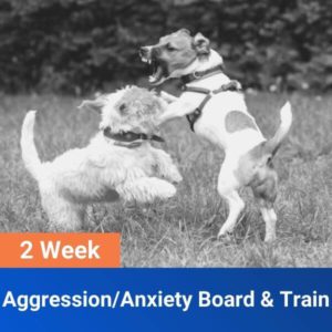 2 Week Board & Train for Aggressive Dogs