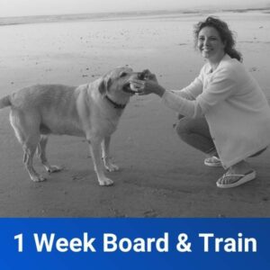 1 week board and train
