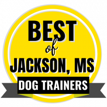 Best of Jackson MS